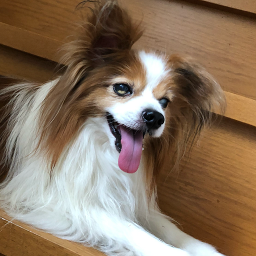 cute