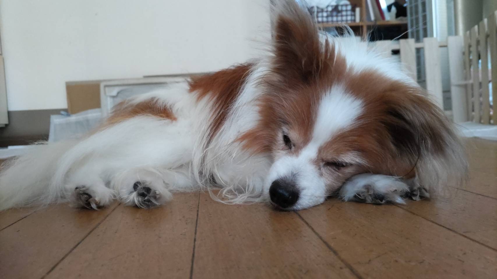 sleeping